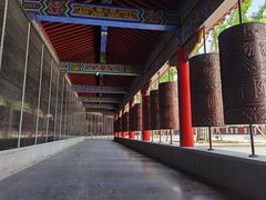 -皇罗禅寺
