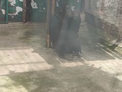 -昆明动物园