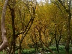 -绵阳人民公园(涪城区)
