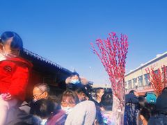 -李村大集