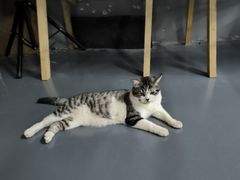 -蓝天射箭馆·专业射箭运动(诚丰广场店)