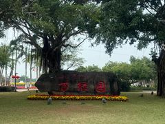 -万绿园