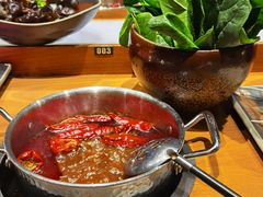 -呷哺呷哺 黄金牧场 (新中关购物中心店)