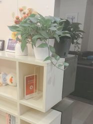 -上海时光整形外科医院