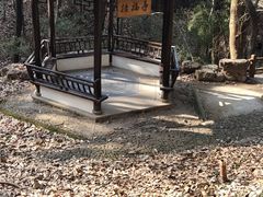 -虞山风景区
