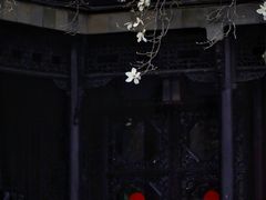 -何园