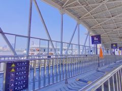 -武汉关码头(轮渡站)