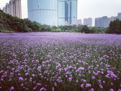 -艾溪湖湿地公园