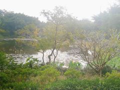 -云溪植物园