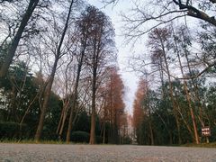 -狼山风景名胜区