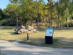 -春花秋色城市公园