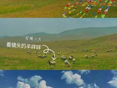 -日月山景区