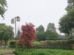 -铁山坪森林公园