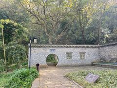 -镇江市南山风景名胜区竹林景区