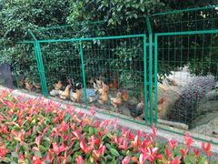 -呼吸森林·生态农庄农家乐私房菜