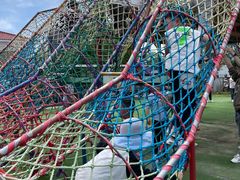 -苏州太湖西山岛开心农场