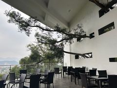 -福道