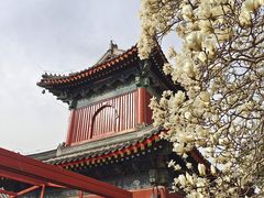 -北京艺术博物馆(万寿寺)