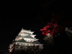 -名古屋城