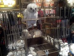 -九又四分之三站台哈利波特商店