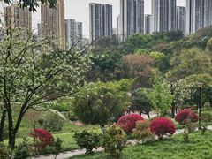 -龙头寺公园
