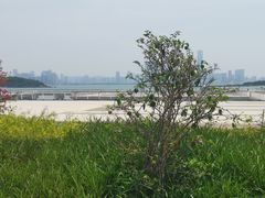 -海沧湾公园