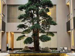 -外滩·云南人家(昆明旗舰店)