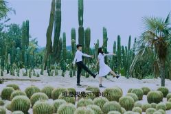 日系-巴黎婚纱摄影工作室