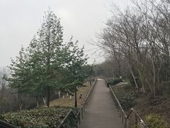 -羊山湖公园