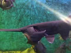 -石林冰雪海洋世界