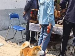 -辛庄国际文化艺术区
