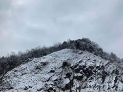 -武陵山森林公园