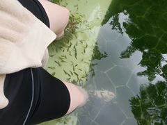 -海兰云天度假区温泉