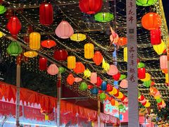 -越秀西湖花市(广州城市广场花卉店)