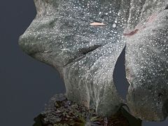 -颐和园