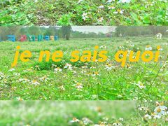 -天适樱花悠乐园