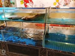 水产区-特色酱椒鱼私房菜(黄鹤楼店)