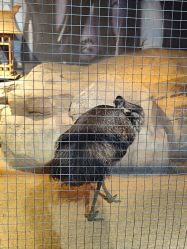 -酷嗒动物文化乐园(cutezoo西溪乐天城店)