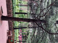 -黑龙江省森林植物园