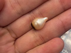 -新辉港式茶餐厅(北栅店)