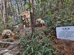 -森波拉奇妙世界