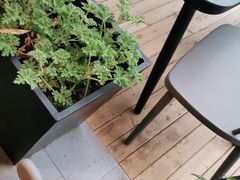 -向外鱼乐·土菜·虹鳟鱼