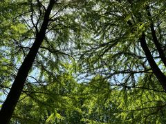 -南山风景名胜区