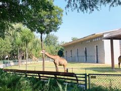 -石家庄市动物园