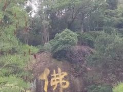 -三水森林公园