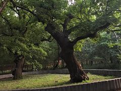 -北陵公园