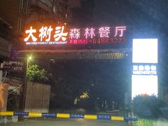 -大树头森林餐厅(番禺广场店)