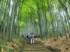 -会稽山峡洞漂流-上青古道