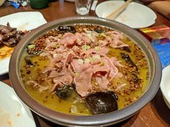 -大连圣亚海洋世界