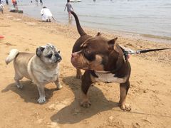 -东戴河风景区-止锚湾